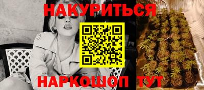 прущие грибы Тара