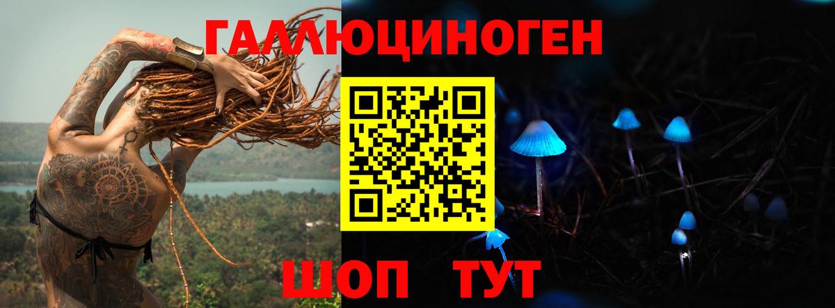Псилоцибиновые грибы MAGIC MUSHROOMS Петрозаводск